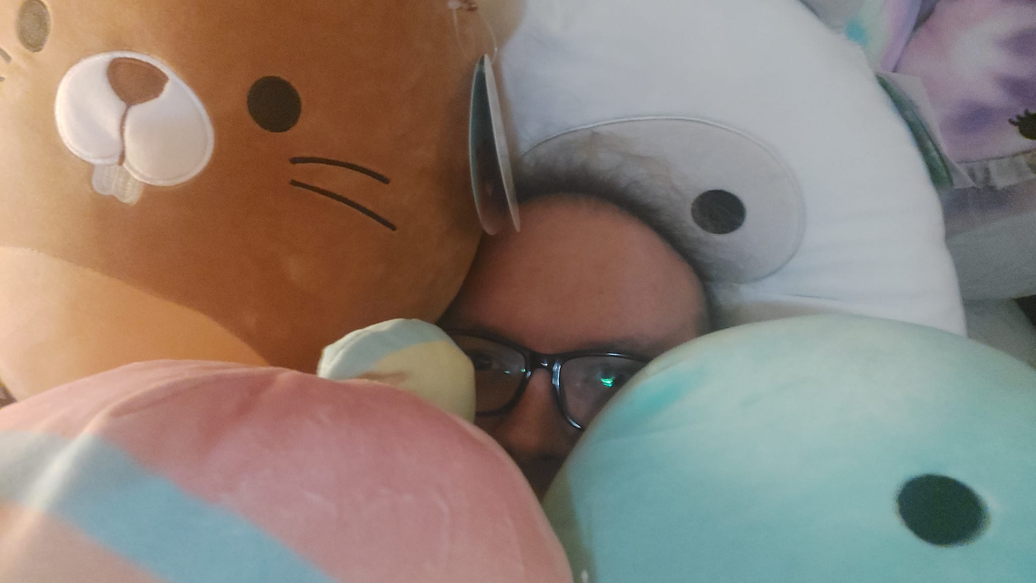 A man is burried under at least four Squishmallows, only his eyes and forehead are visible